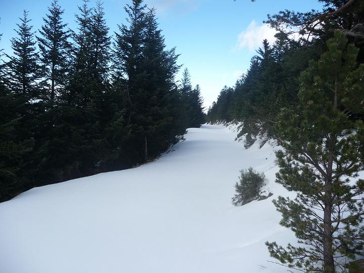 Canigou_2010 004.jpg